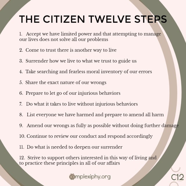 The Citizen Twelve Steps